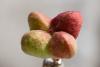 327402 – Photo : Pierre Duhem – France (29)