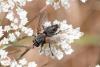 327796 – Photo : Pierre Duhem – France (29)