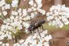 327795 – Photo : Pierre Duhem – France (29)