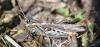 327720 – Photo : Christian Berquer – France (20)
