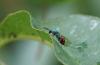 327358 – Photo : Daniel Dufour – France (36)