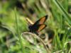 327255 – Photo : Philippe Fourtier – France (38)