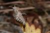 327993 – Photo : Jude Bucktrout – France (36)
