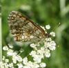 327969 – Photo : Patrick Bouvier – France (73)