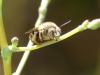 327578 – Photo : Sandor31 – France (31)
