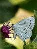 327002 – Photo : Cédric Mondy – France (94)