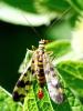 327074 – Photo : Cédric Mondy – France (75)