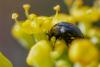 327577 – Photo : BourrinOman – France (83)