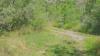 327851 – Photo : Fools – France (05)