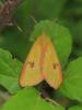 327635 – Photo : Hélène LAVIRON – France (31)