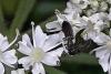 328276 – Photo : Gerard VIGO – France (73)
