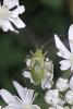 328135 – Photo : Gerard VIGO – France (73)
