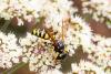 328661 – Photo : Pierre Duhem – France (73)