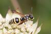 328826 – Photo : Pierre Duhem – France (73)