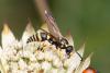 328824 – Photo : Pierre Duhem – France (73)