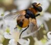 328465 – Photo : Jean-Michel GAREL – France (89)