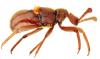 328886 – Photo : E.Gay-Leg M.Secq – France (24)