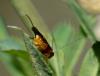 328866 – Photo : Michel Pansiot – France (26)