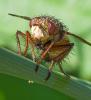 328249 – Photo : Pierre Crouzet – France (39)