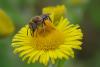 328246 – Photo : Olivier Pouvreau – France (86)