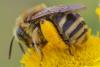 328248 – Photo : Olivier Pouvreau – France (86)