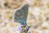 328244 – Photo : Jean-Claude Lablanquie – France (63)