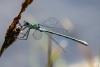 328387 – Photo : Christian Peyron – France (09)