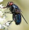 328545 – Photo : Jean-Michel GAREL – France (89)
