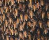 328581 – Photo : Basile Morin – Laos
