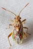 329681 – Photo : André Burgers – Espagne