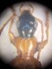 329254 – Photo : Mathurin CARNET – France (71)