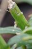 329322 – Photo : Olivier Pouvreau – France (86)