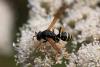 329801 – Photo : Pierre Duhem – France (73)