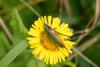 329383 – Photo : Pierre Duhem – France (62)