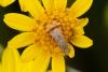 329385 – Photo : Pierre Duhem – France (62)