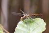 329875 – Photo : Pierre Duhem – France (62)