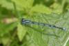 329204 – Photo : Lionel Casset – France (77)
