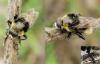 329672 – Photo : Emilien TEULIER – France (82)