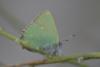 329949 – Photo : Christian Berquer – France (04)