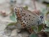 329506 – Photo : vincent thary – France (05)