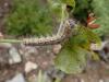 329459 – Photo : Yannick Mourgues – France (45)