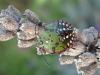 329287 – Photo : Yannick Mourgues – France (45)