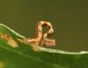329337 – Photo : Jude Bucktrout – France (36)