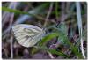 329768 – Photo : DUBOIS Yves – France (01)