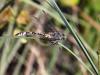329645 – Photo : D.Mouchené – Croatie