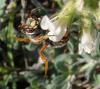 33543 – Photo : Anne Forgues – France (11)