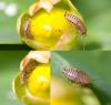 33990 – Photo : Pierre Duhem – France (36)