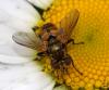 33771 – Photo : Vincent Derreumaux – France (04)