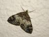 33071 – Photo : Arnaud Jean-Pierre – France (09)