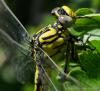 33134 – Photo : FATON Jean-Michel – France (26)